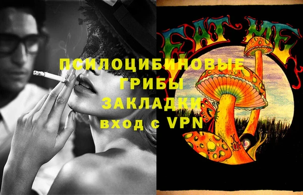 спайс Алексин