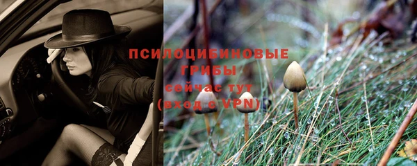 спайс Алексин