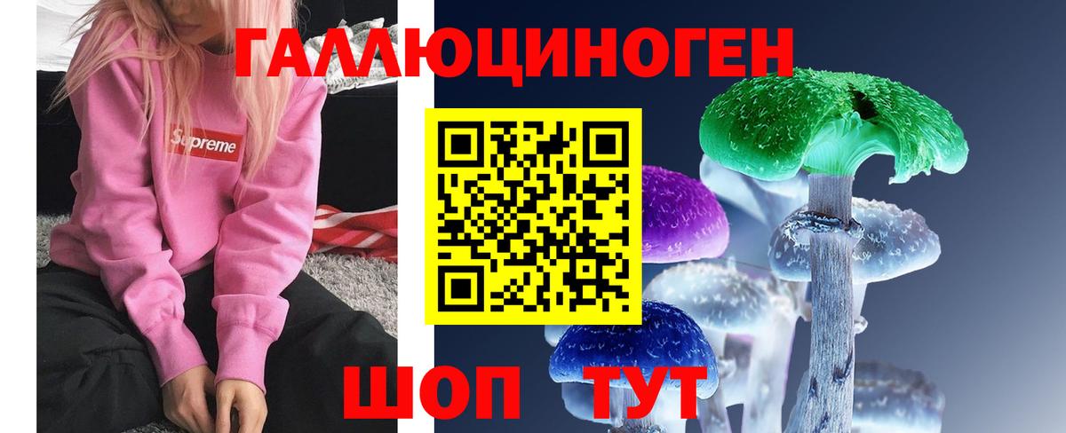 Псилоцибиновые грибы прущие грибы Шуя