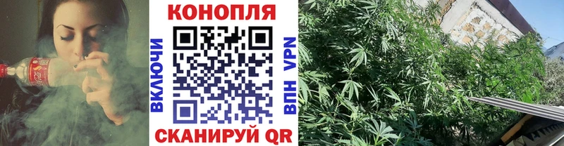 Бошки марихуана семена  даркнет сайт  Шуя 
